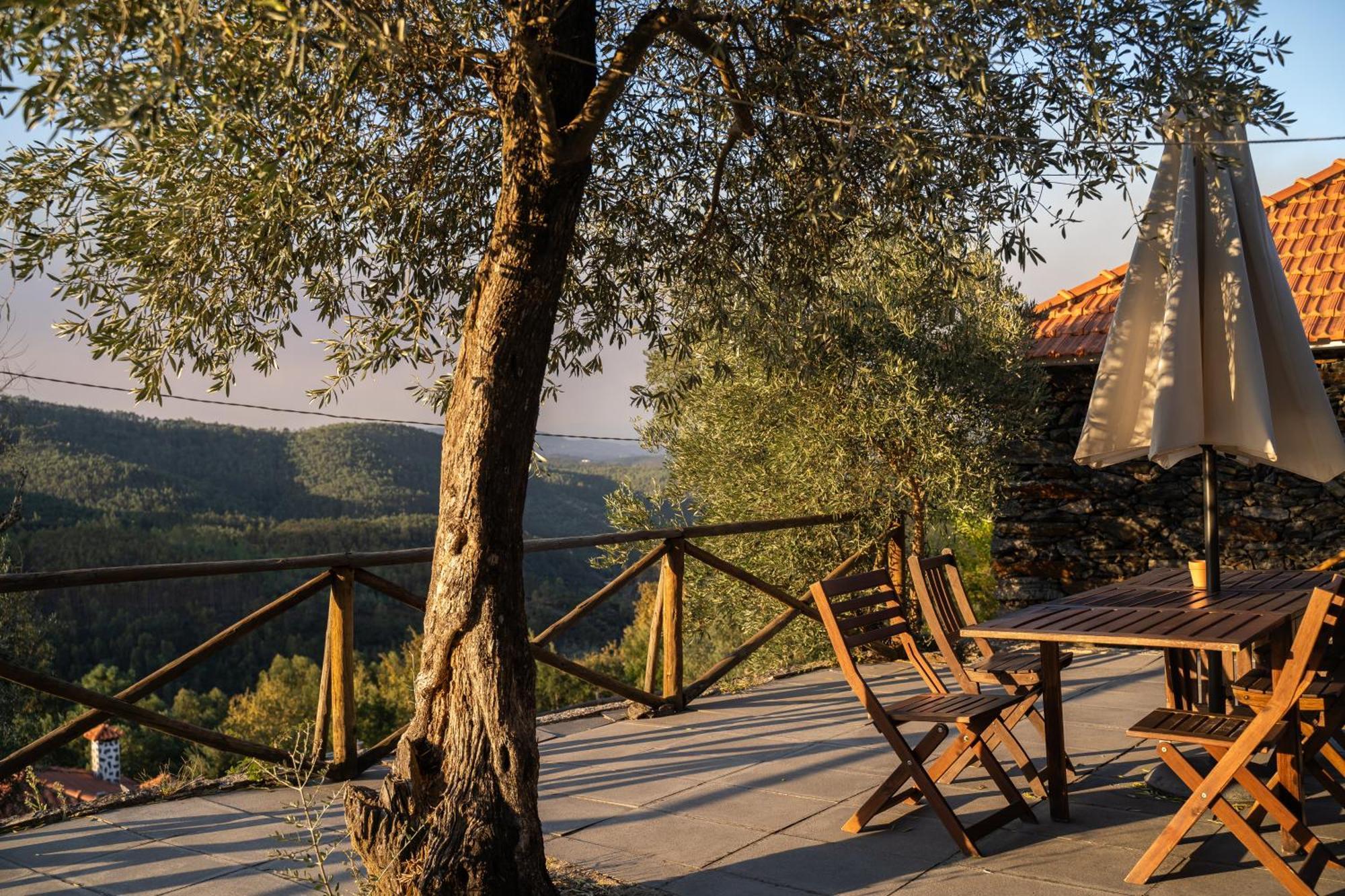 Casa Da Colina Villa Amarante Luaran gambar